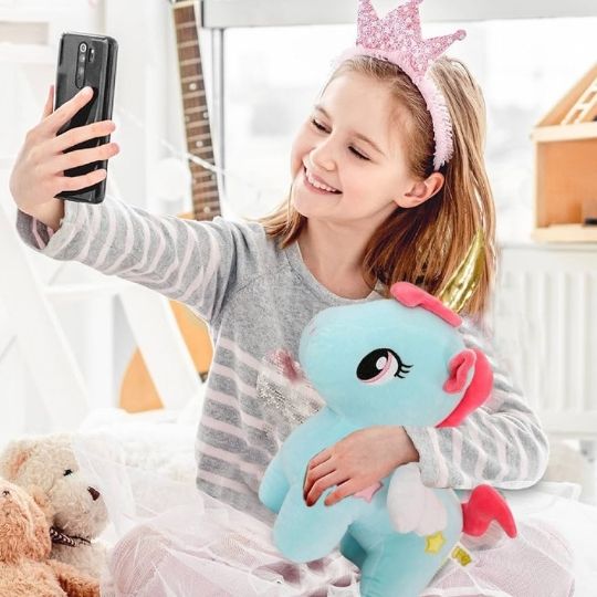 Cadeau anniversaire / Peluche licorne