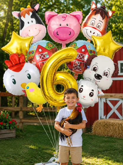 ballons d anniversaire | Ferme